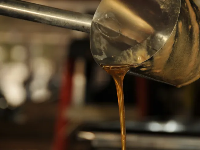 Maple Syrup